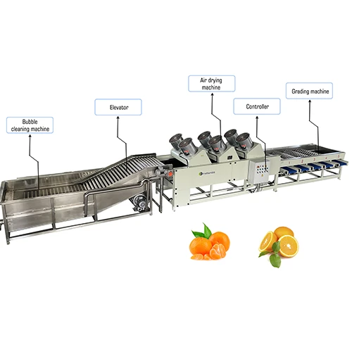 Citrus Air - Drying Sorting Machine Production Line suppliers
